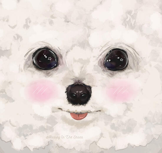 Puppy Dog Eyes