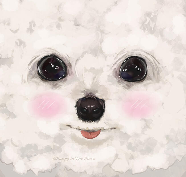 'No! Not the Puppy dog eyes!